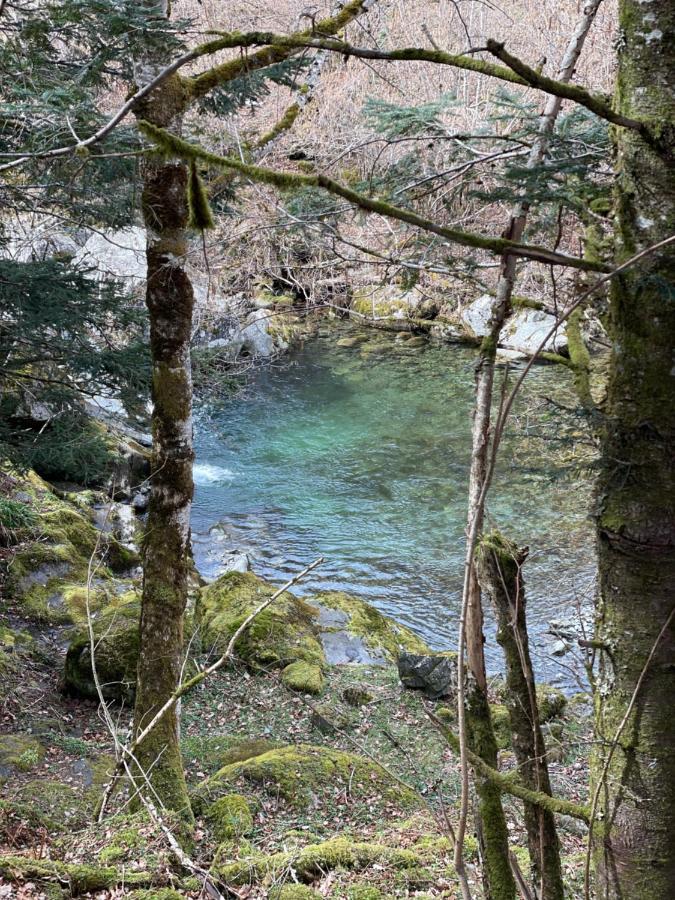Villa La Bergerie Marie Saint-Aventin Esterno foto